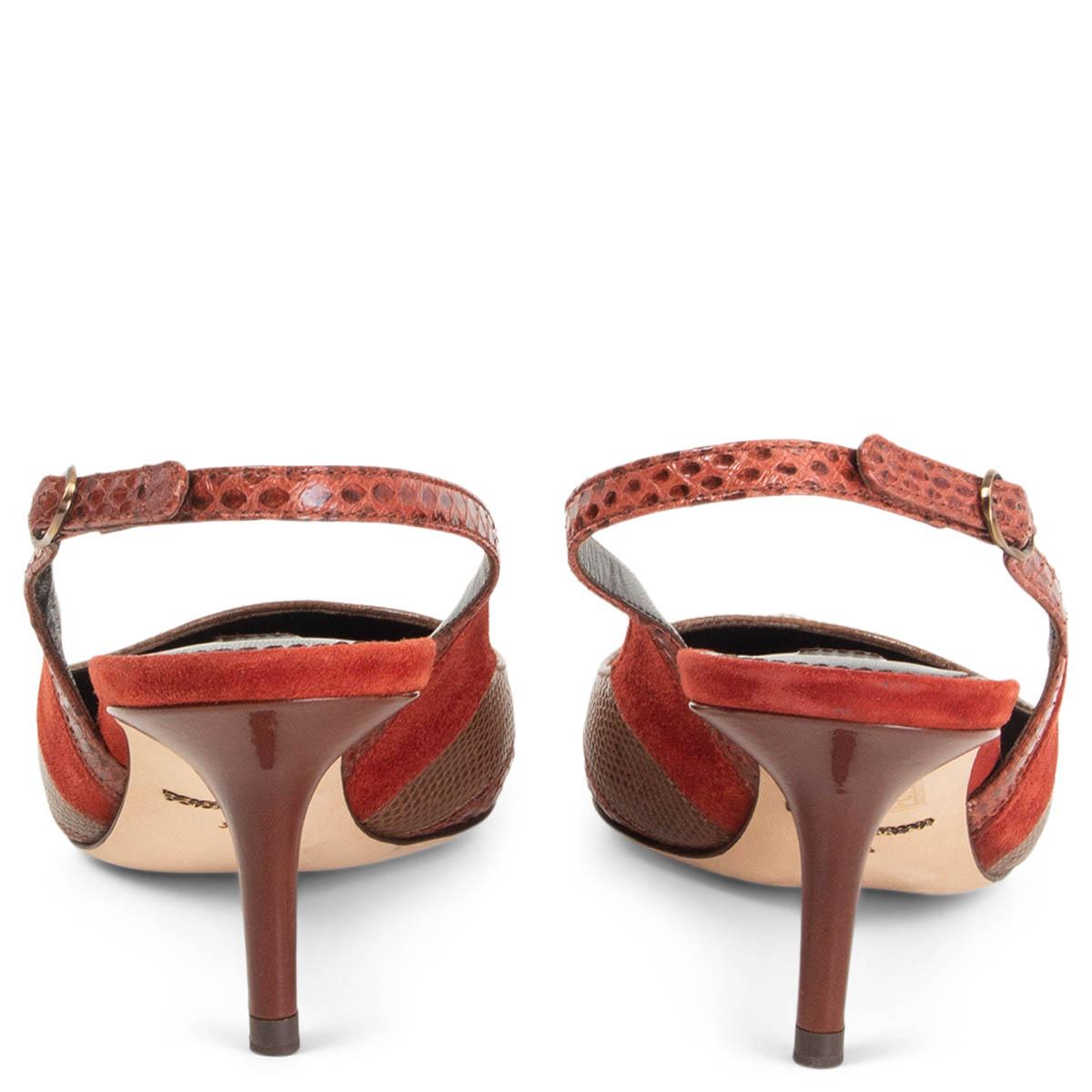 dillards snakeskin shoes