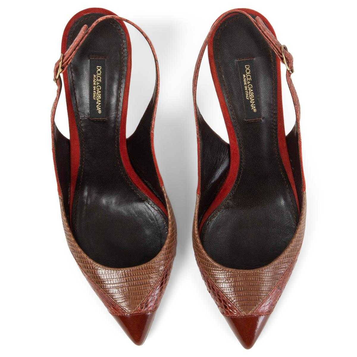 DOLCE and GABBANA red Snakeskin Lizard PATCHWORK POINTED TOE Pumps ...