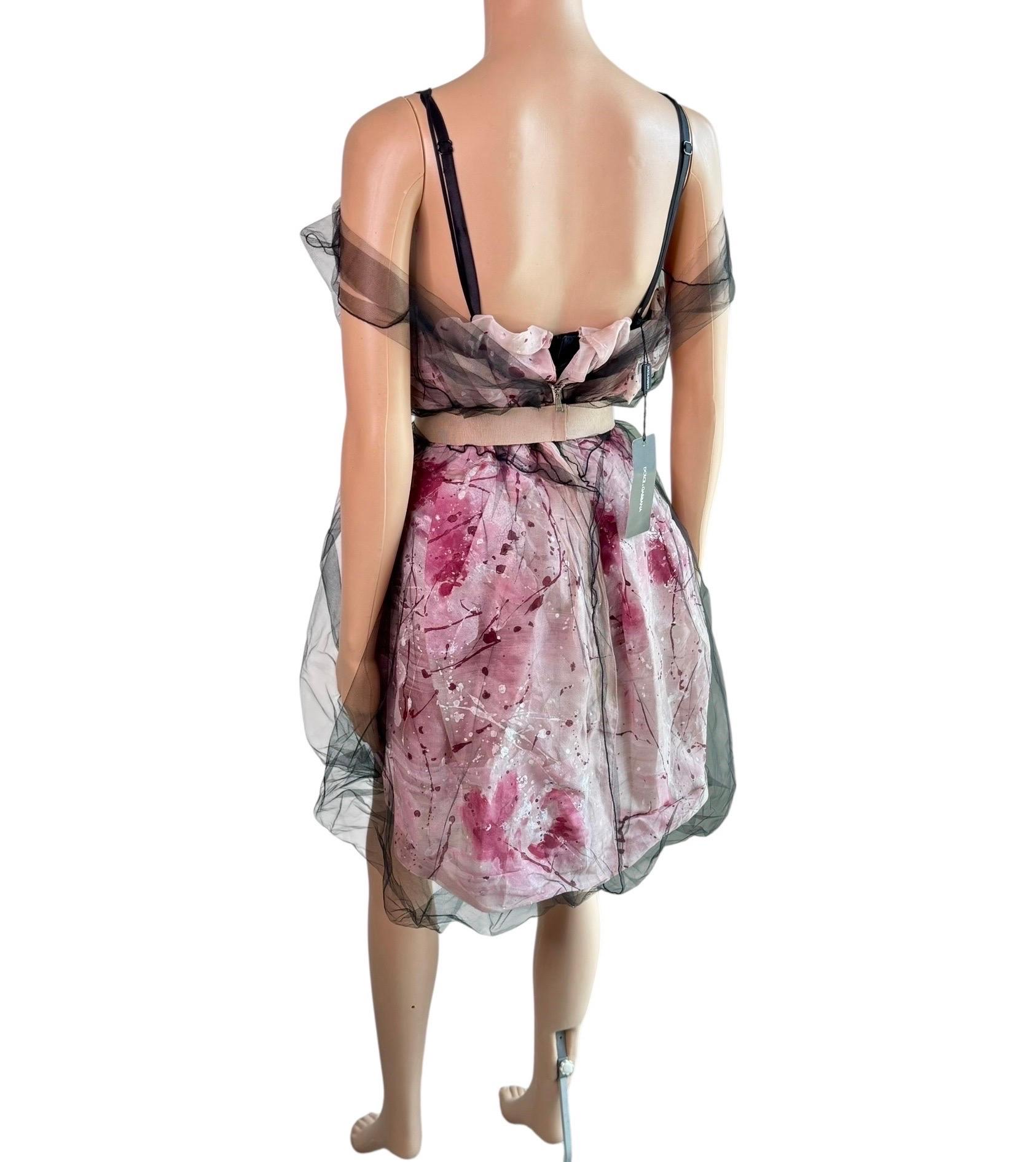 Dolce & Gabbana S/S 2008 Runway Ungetragenes Handbemaltes Kleid mit Gürtel aus durchsichtigem Mesh im Angebot 11