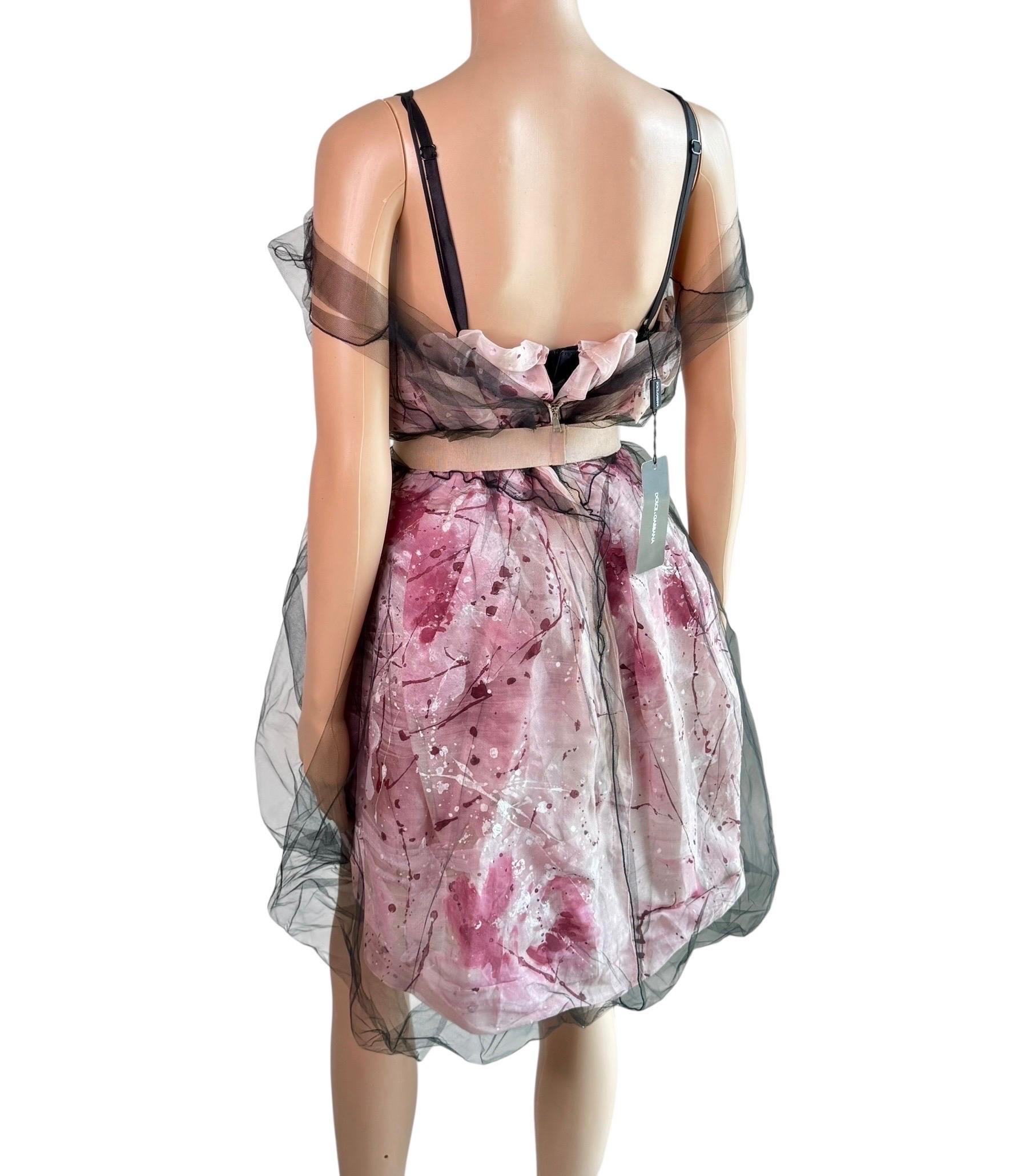 Dolce & Gabbana S/S 2008 Runway Ungetragenes Handbemaltes Kleid mit Gürtel aus durchsichtigem Mesh Damen im Angebot
