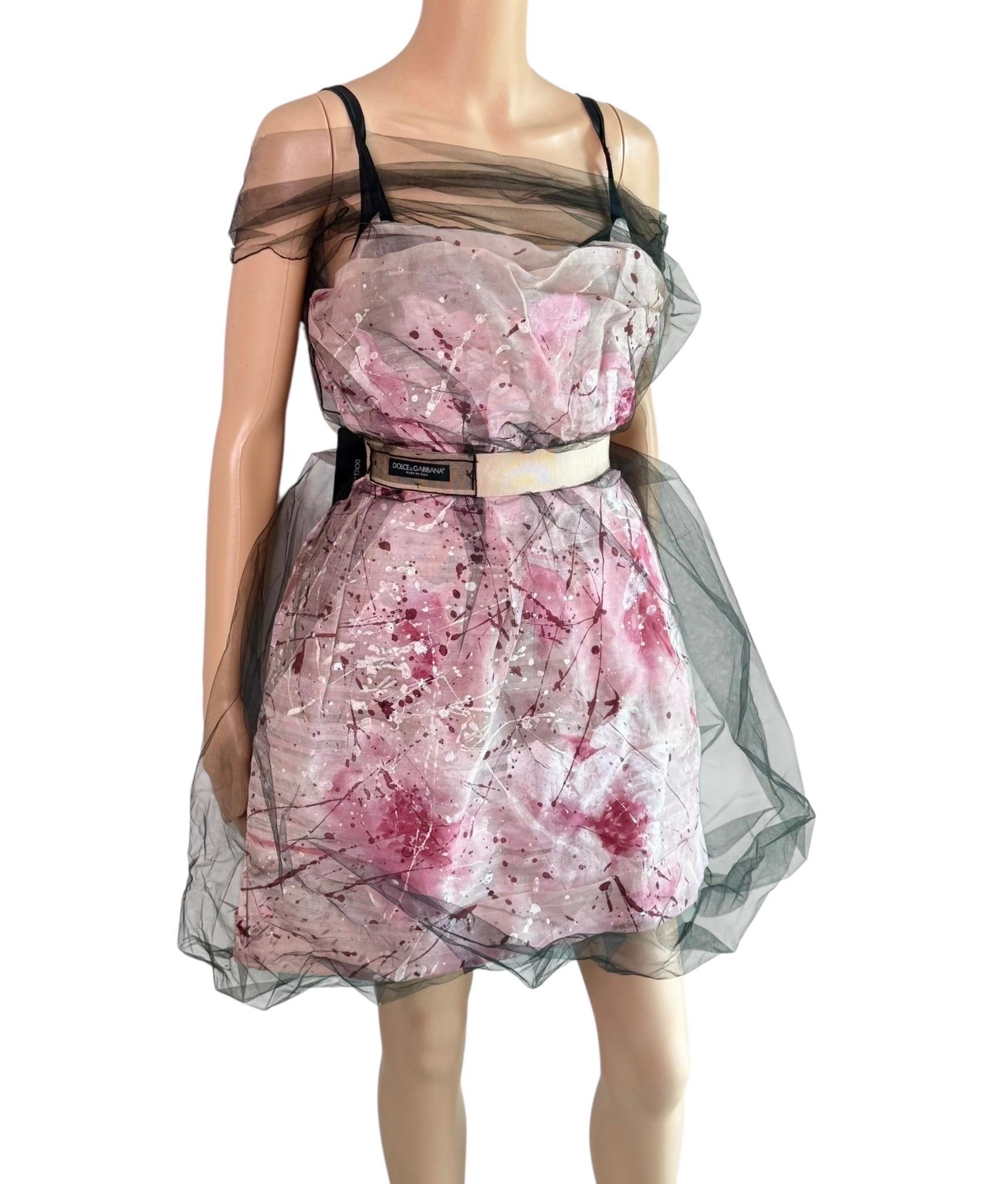 Dolce & Gabbana S/S 2008 Runway Ungetragenes Handbemaltes Kleid mit Gürtel aus durchsichtigem Mesh im Angebot 1