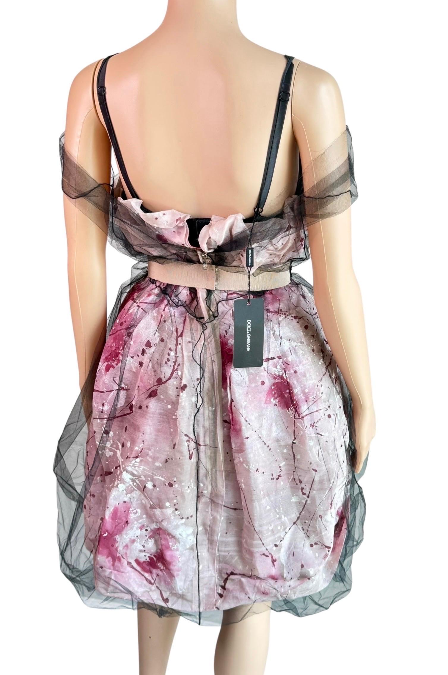 Dolce & Gabbana S/S 2008 Runway Ungetragenes Handbemaltes Kleid mit Gürtel aus durchsichtigem Mesh im Angebot 2