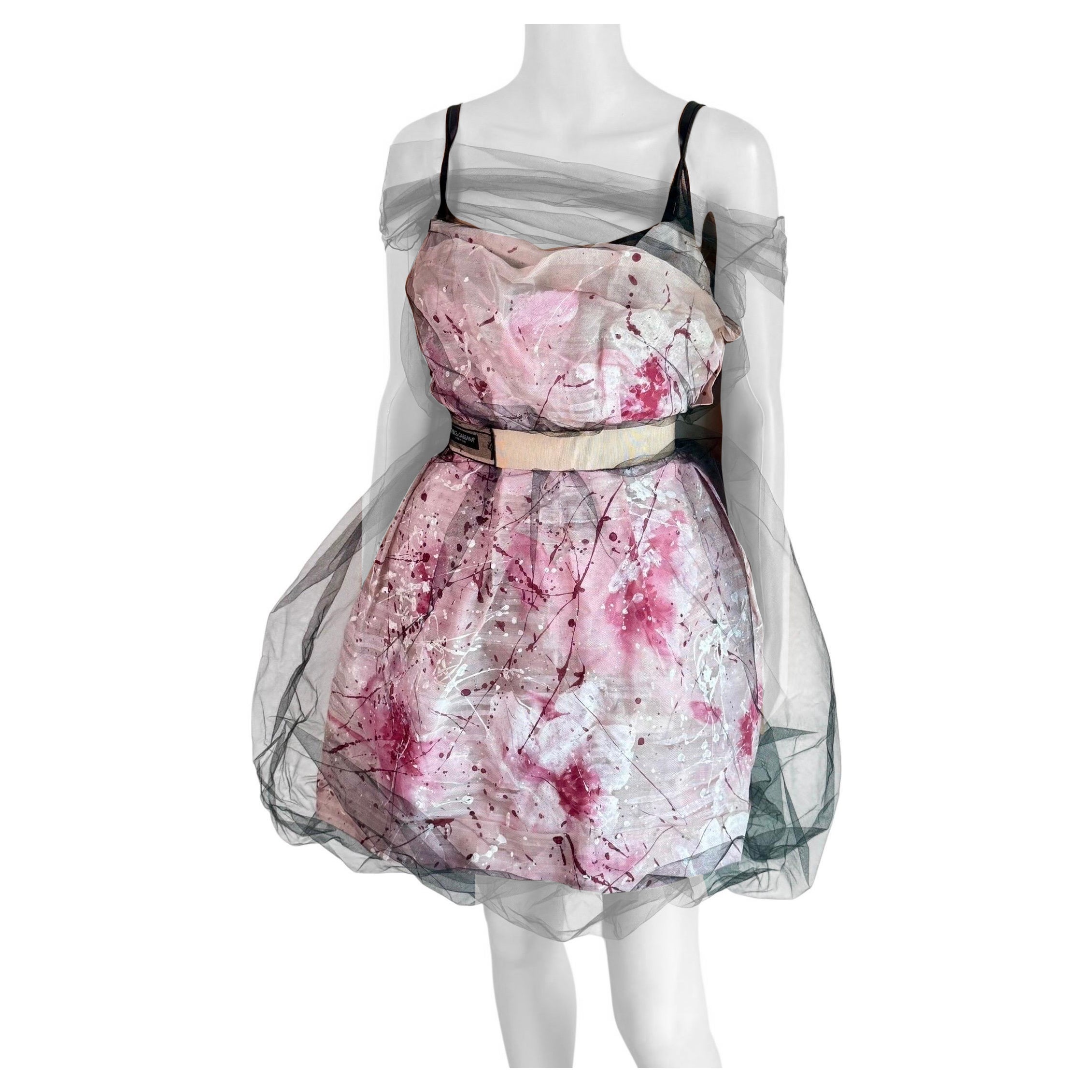 Dolce & Gabbana S/S 2008 Runway Ungetragenes Handbemaltes Kleid mit Gürtel aus durchsichtigem Mesh im Angebot