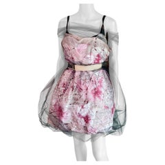 Dolce & Gabbana S/S 2008 Runway Ungetragenes Handbemaltes Kleid mit Gürtel aus durchsichtigem Mesh