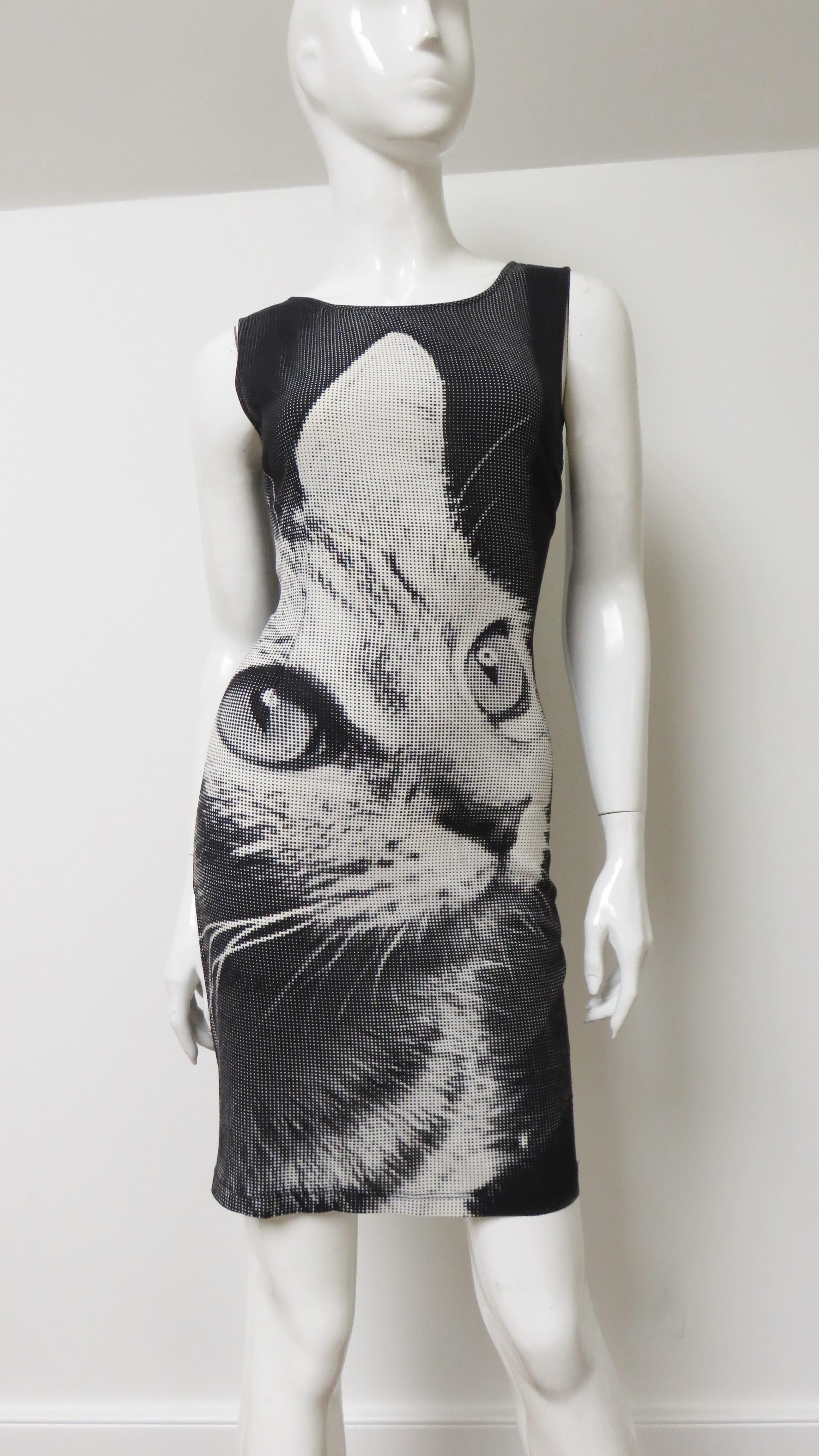 Dolce & Gabbana Silk Cat Print Dress 1