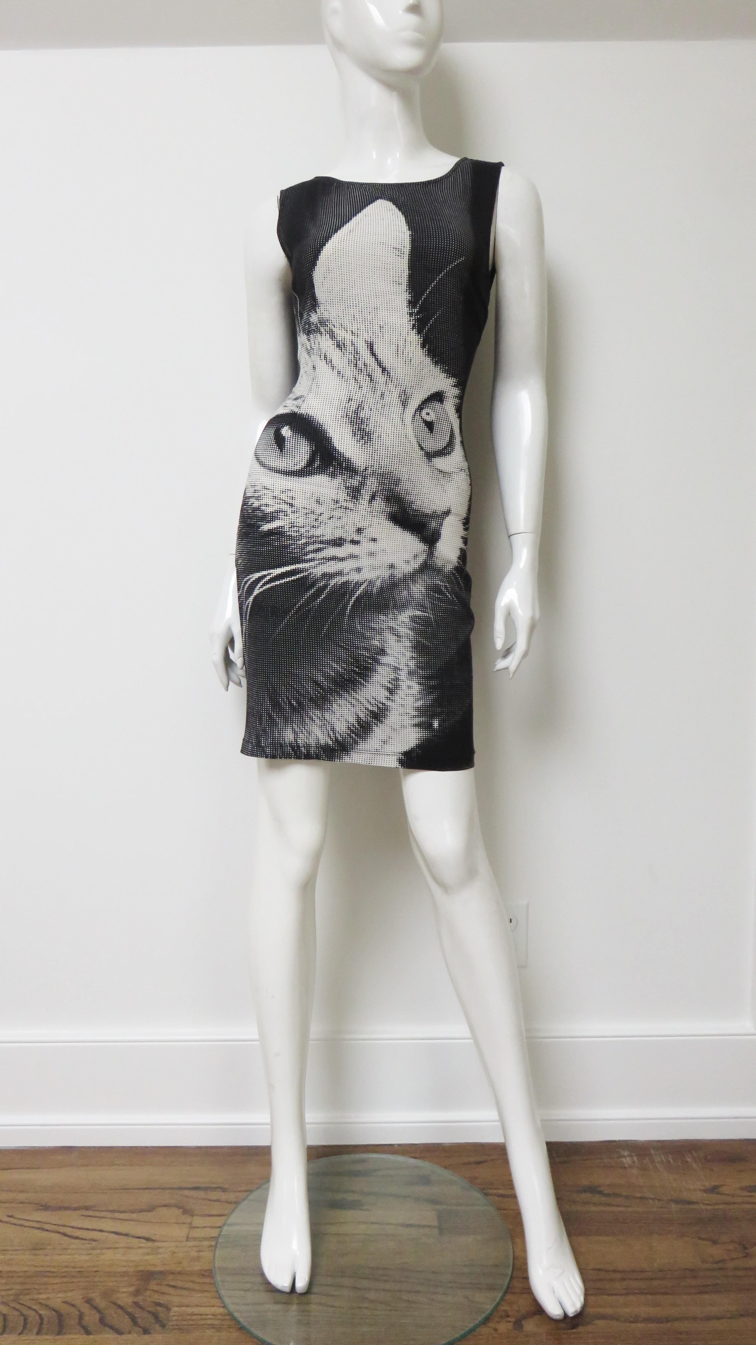 Dolce & Gabbana Silk Cat Print Dress 3