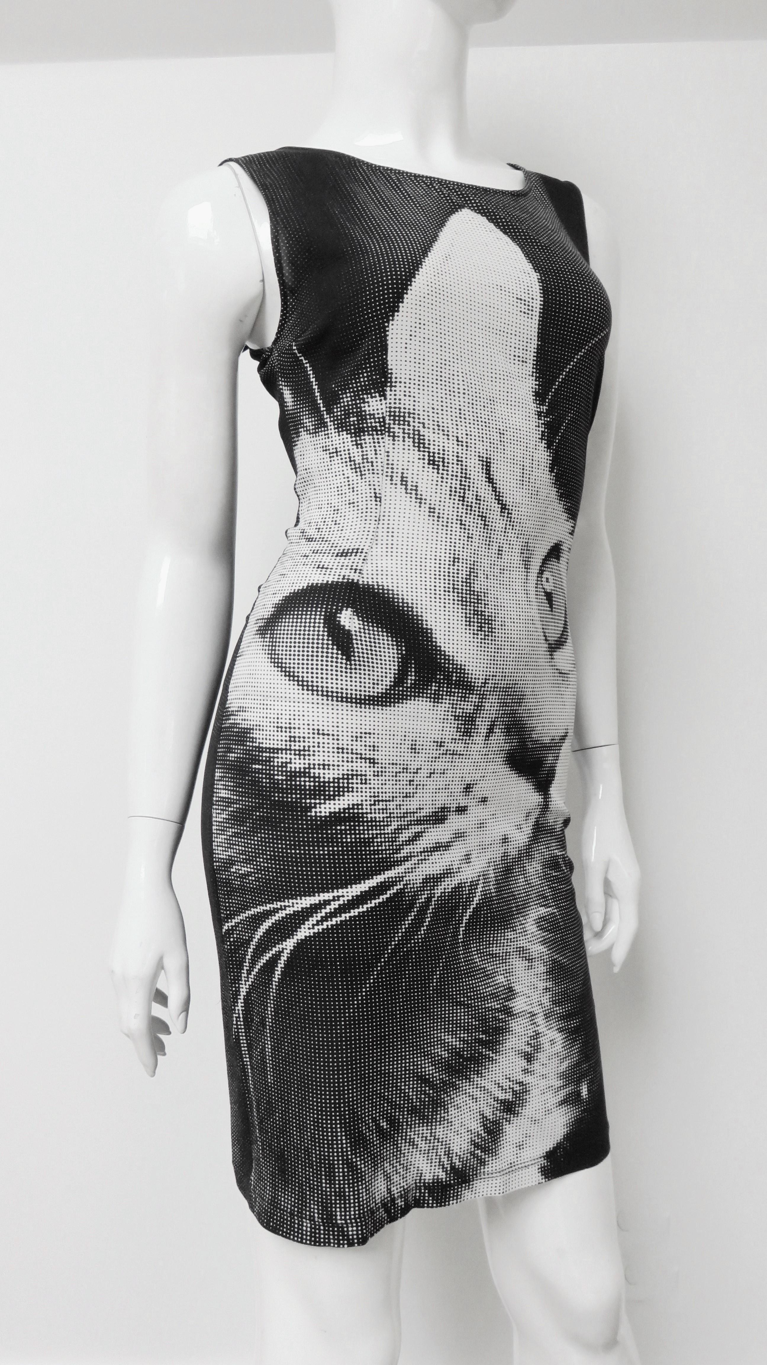Dolce & Gabbana Silk Cat Print Dress 4