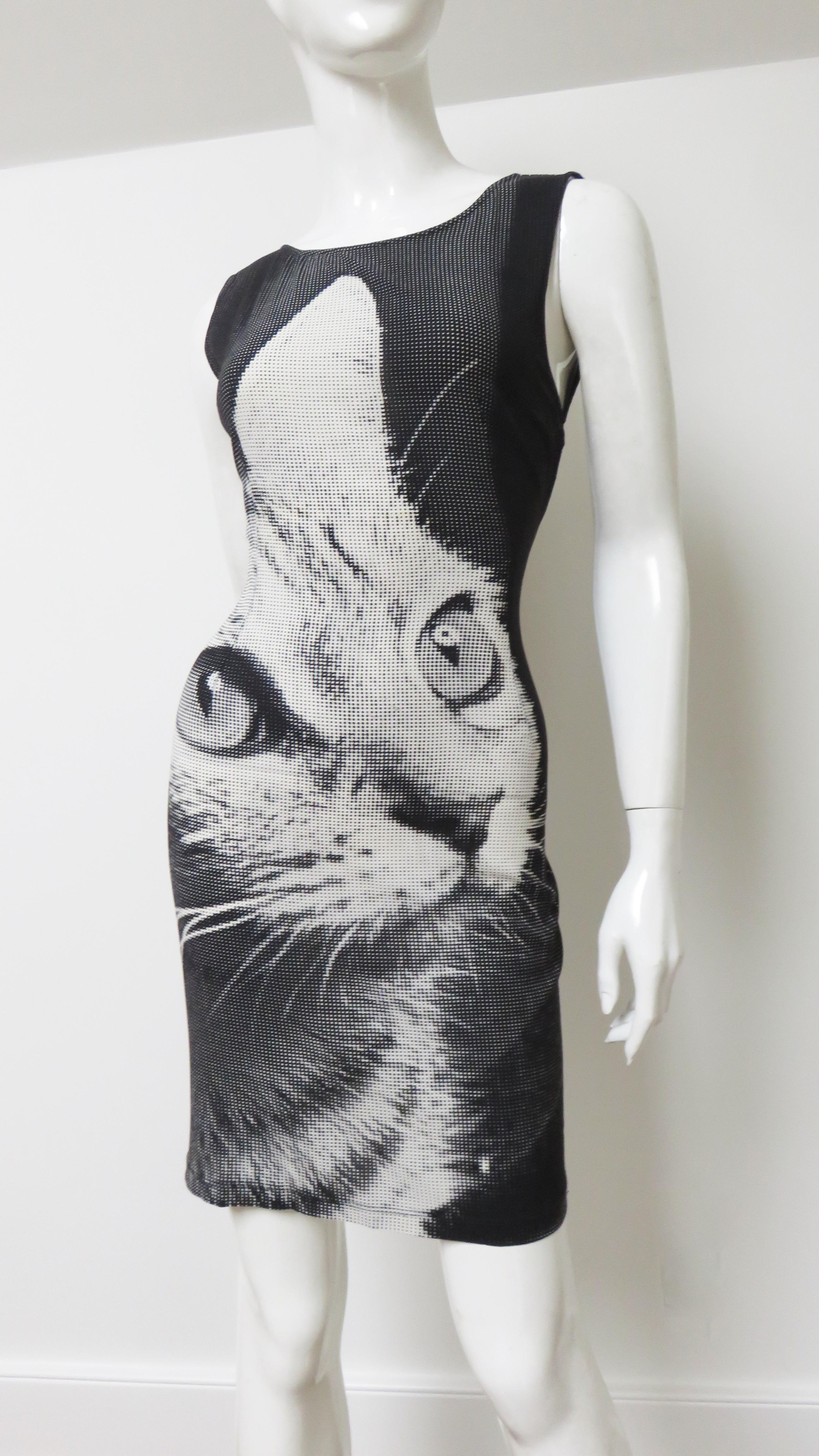 cat print dresses