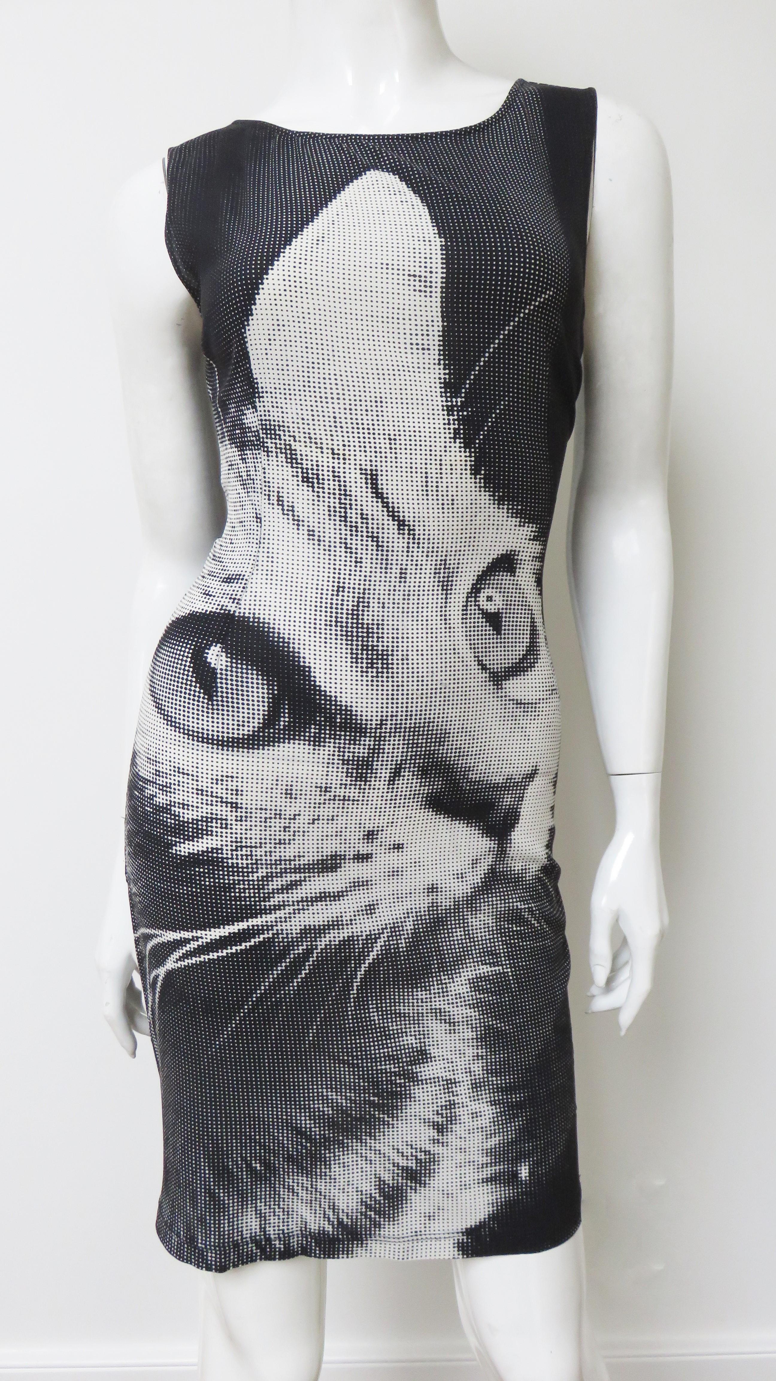 Dolce & Gabbana Silk Cat Print Dress 2