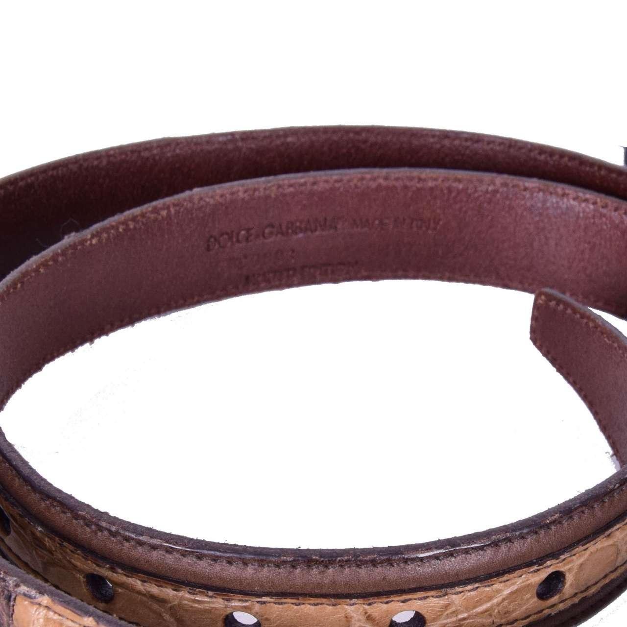 Dolce & Gabbana - Snake Crocodile Leather Belt Brown 90 / Men In Excellent Condition For Sale In Erkrath, DE