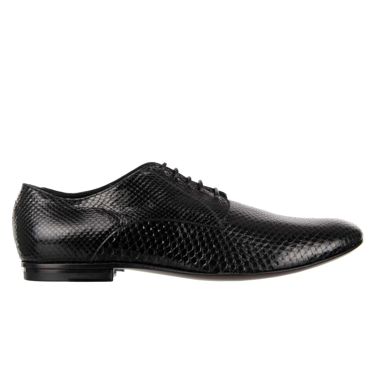 Men's Dolce & Gabbana - Snake Derby Shoes OTELLO Black 44 UK 10 US 11 For Sale