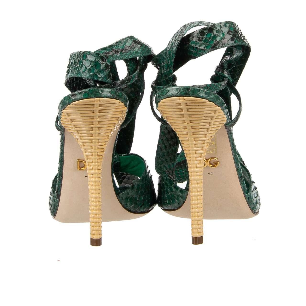 Women's Dolce & Gabbana Tropical Snake Leather Straps Sandals Heels KEIRA Green EUR 38 For Sale