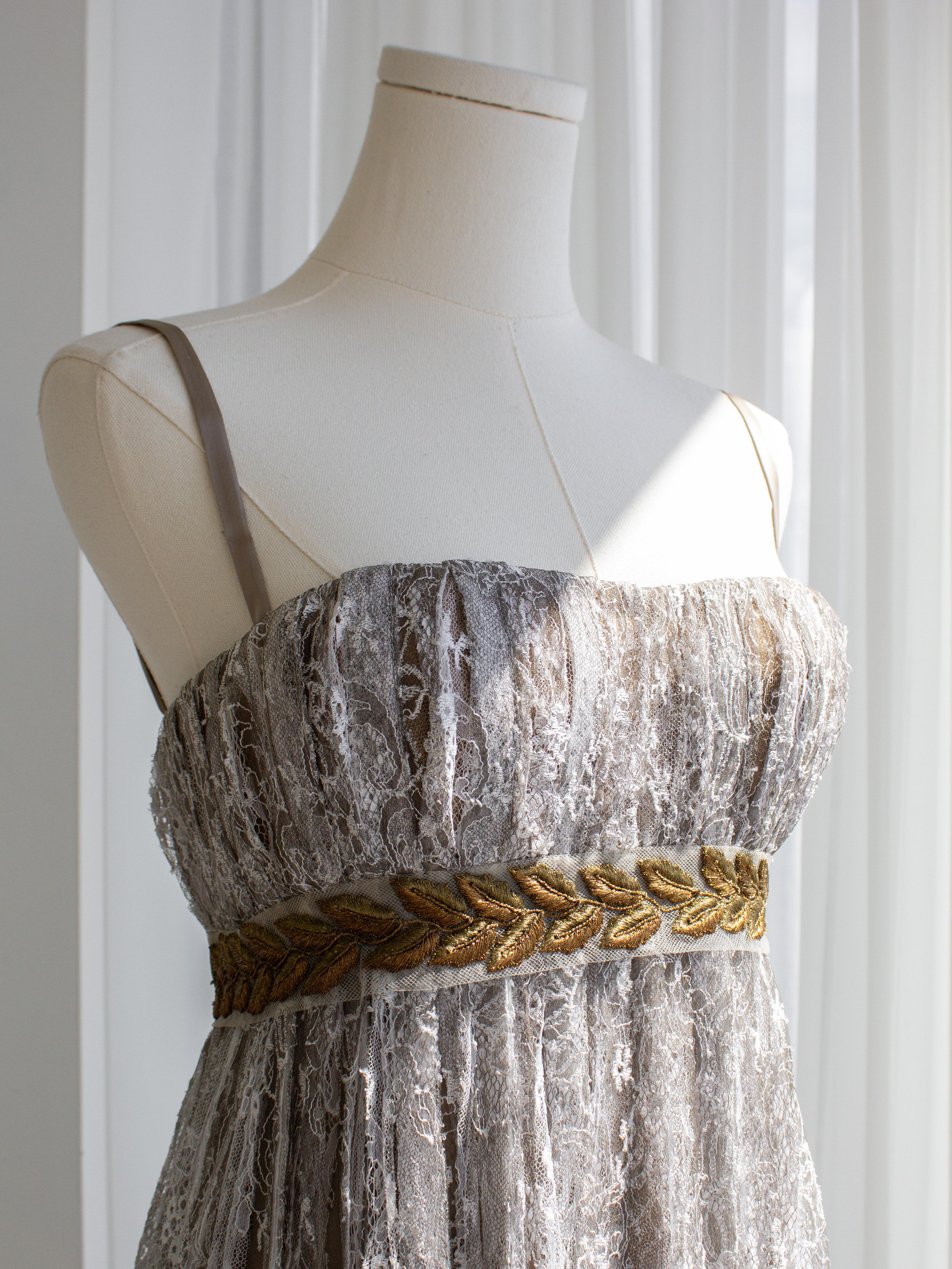 Dolce & Gabbana Vintage F&F Vintage 2006 Robe en dentelle gris napoléonien or Laurel en vente 1