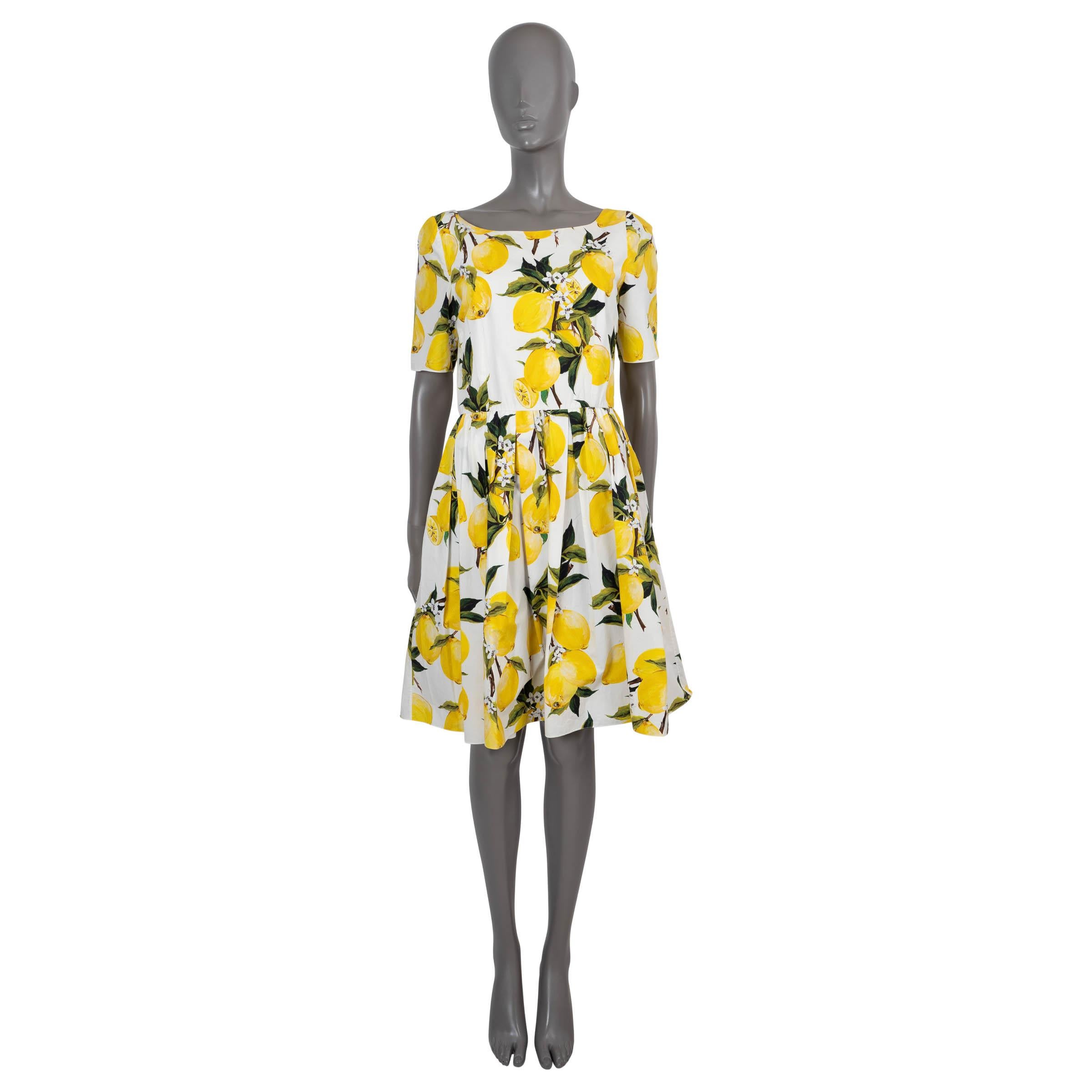DOLCE & GABBANA yellow & white cotton 2016 LEMON POPLIN Dress 46 XL In Excellent Condition For Sale In Zürich, CH