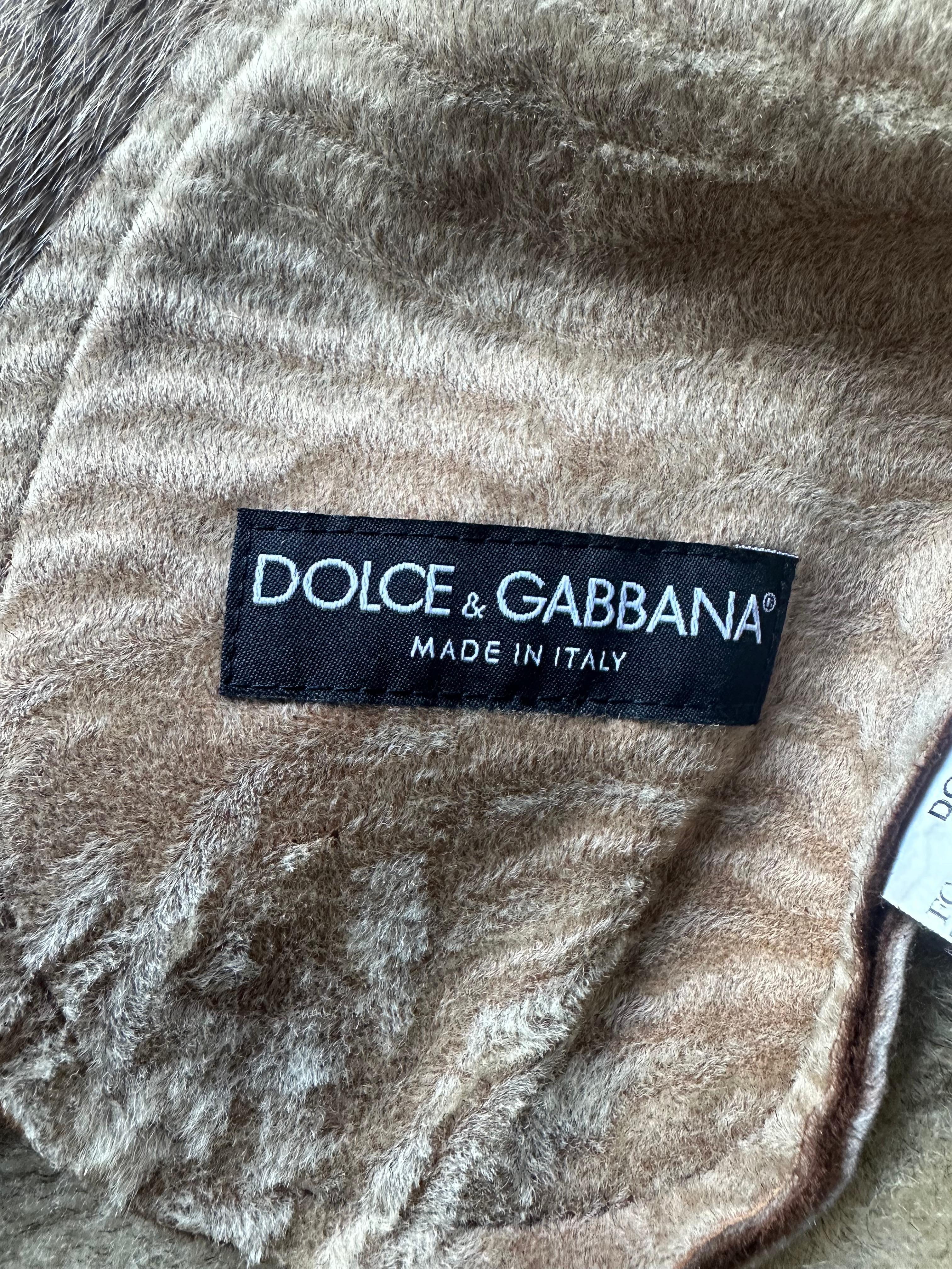 Dolce&Gabbana A/W 2005 Lambskin Fur and Alligator Leather Coat For Sale 6