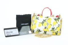 Dolce&Gabbana Chain Bag Lemon Motif Mini Sicily Von Phone 14me0110 Satchel