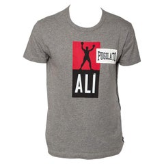 Dolce&Gabbana Grey Pugilato Muhammed Ali Print Short Sleeve T-Shirt XS