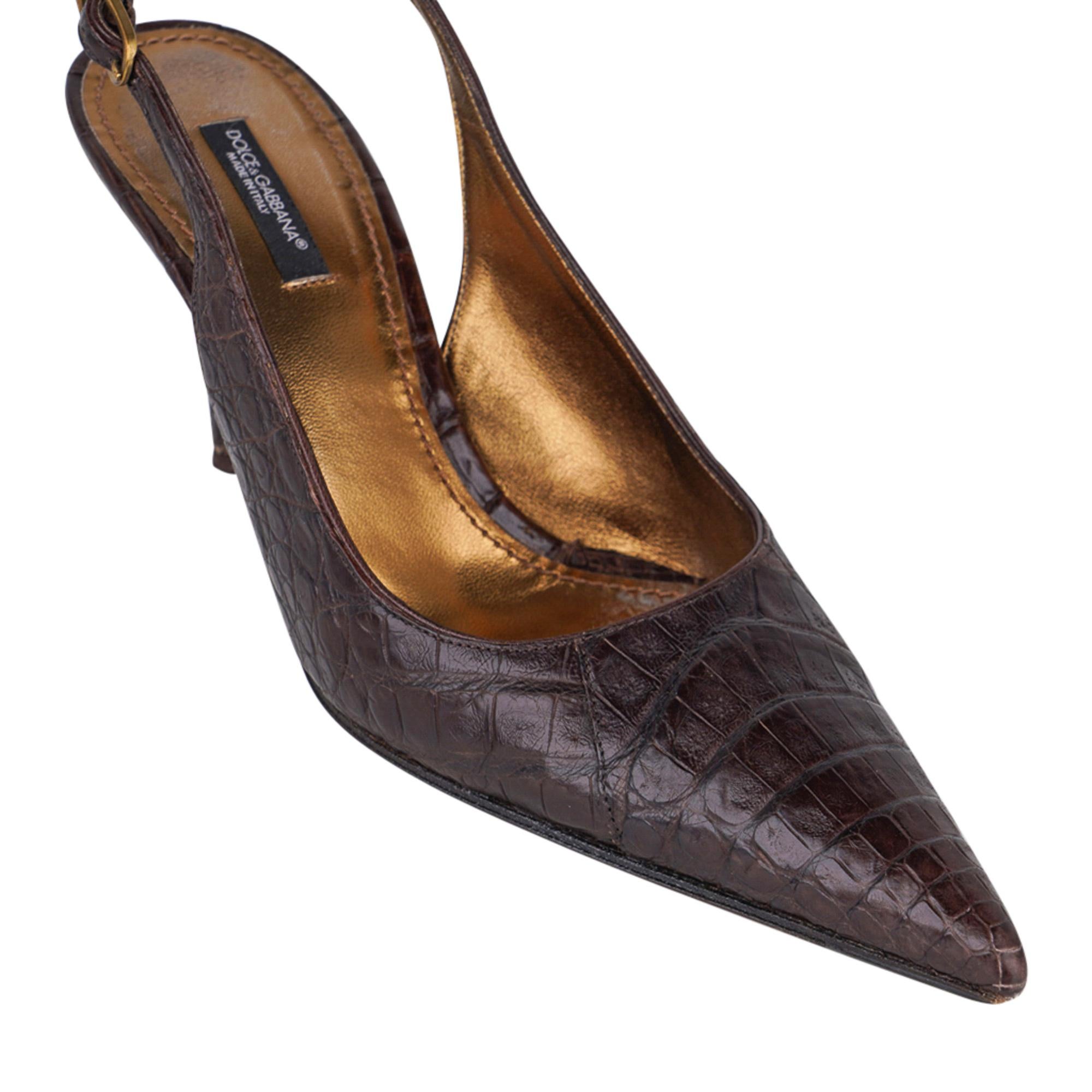 Mightychic offer guaranteed authentic Dolce&Gabbana signature slingback in rich dark brown matte crocodile.
Perfect size heel covered in crocodile.
You will keep these forever.
final sale

SIZE 40
USA SIZE 10 - fits 9

SHOE MEASURES:
HEEL 