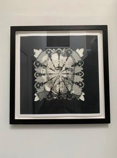 Dollar Art in Black Frame