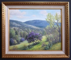 "MOUNTAIN LAUREL HILLS" Texas Hill Country PURPLE BLOOMS