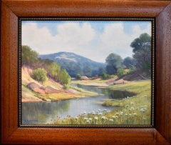 "Spring Flowers"  Texas Hill Country Ranch  Beautiful Colors