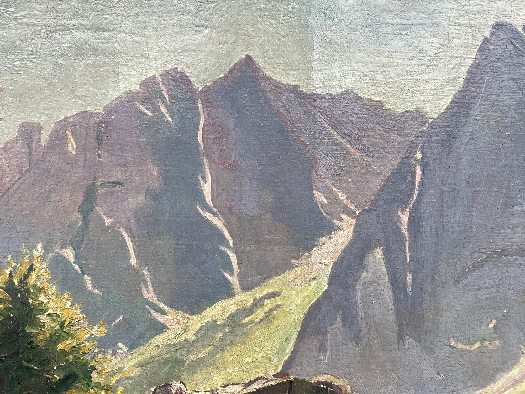 Dolomites in Summer - Oil on Canvas Europe 1920 In Good Condition In Albignasego, IT