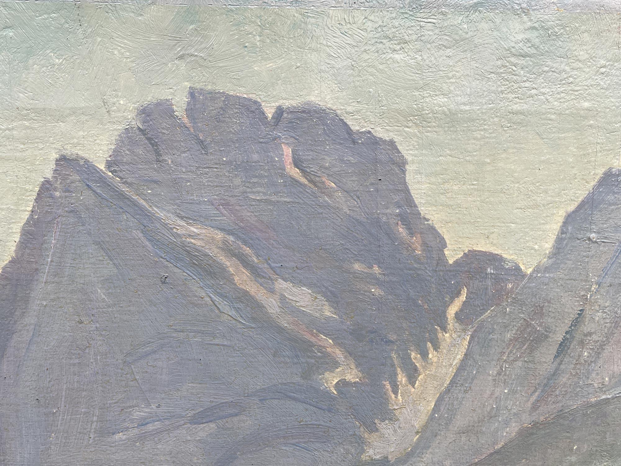 Early 19th Century Dolomites in Summer - Oil on Canvas Europe 1920
