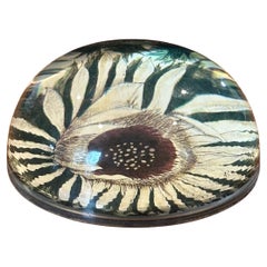 Domed Sunflower Paperweight by John Derian