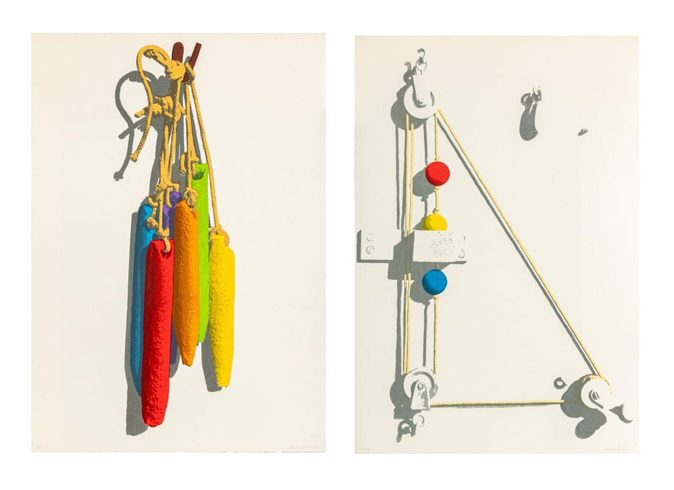 Domenick Capobianco  Still-Life Print - "Weights" and "Move-A-Ball-Object"