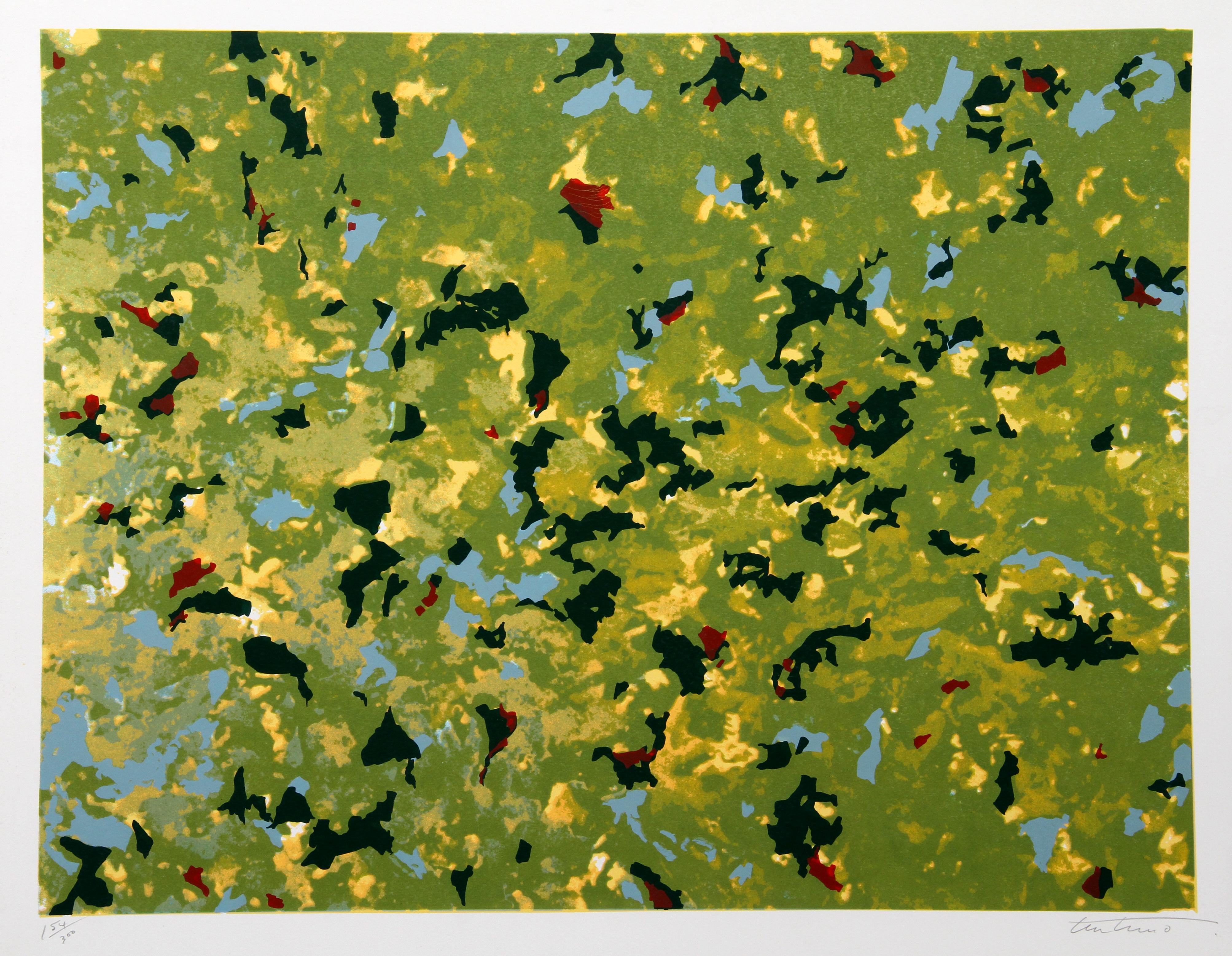 Artist: Domenick Turturro, Italian/American (1936 - 2002)
Title: Fern Hills
Year: 1980
Medium: Serigraph, signed and numbered in pencil
Edition: 300
Image Size: 23 x 30 inches
Size: 26 in. x 32.5 in. (66.04 cm x 82.55 cm)