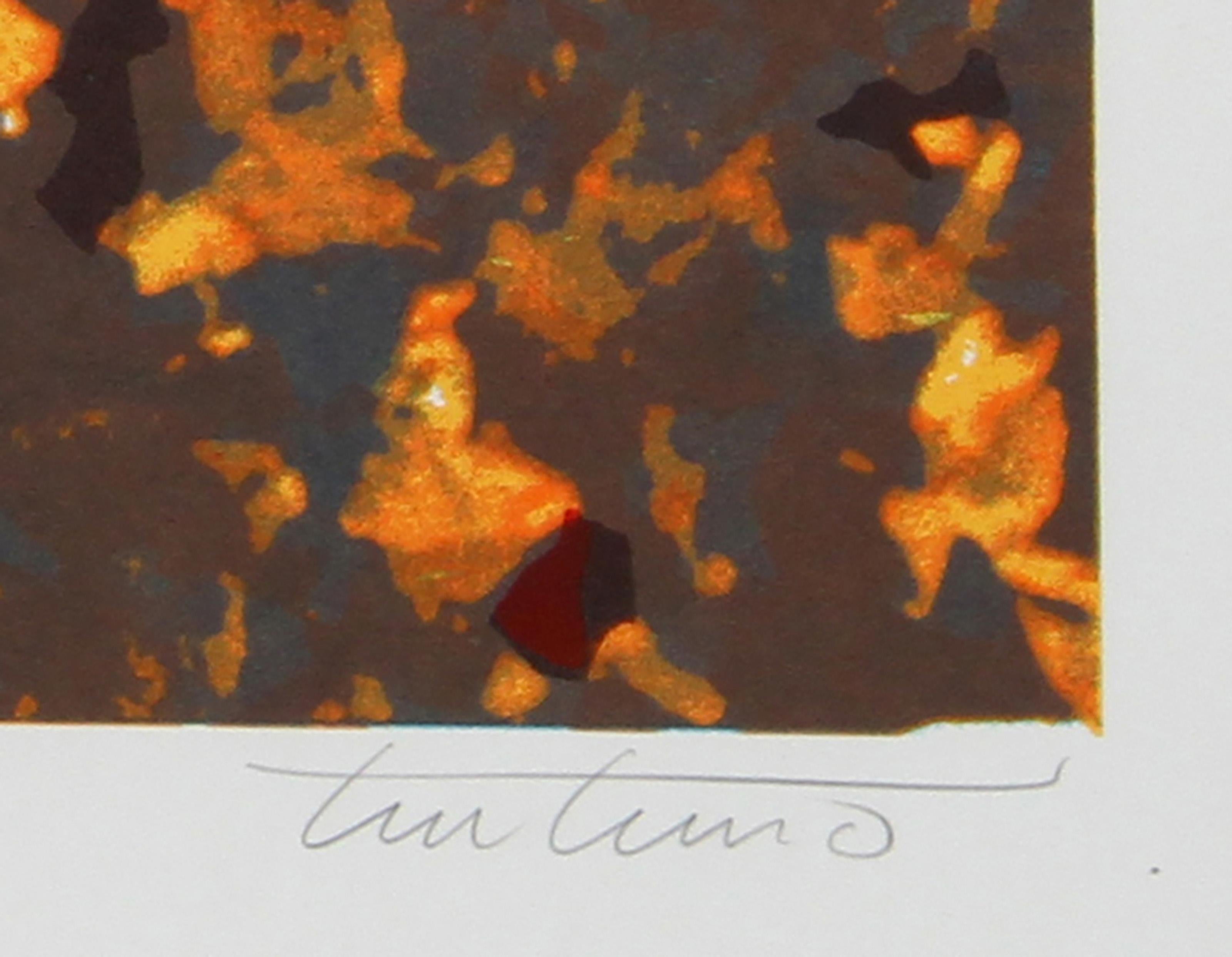 Fuoco, serigrafia d'arte astratta di Domenick Turturro in vendita 2