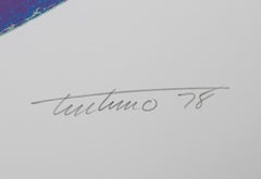 Mondlandschaft, Abstrakter Raumteiler von Domenick Turturro