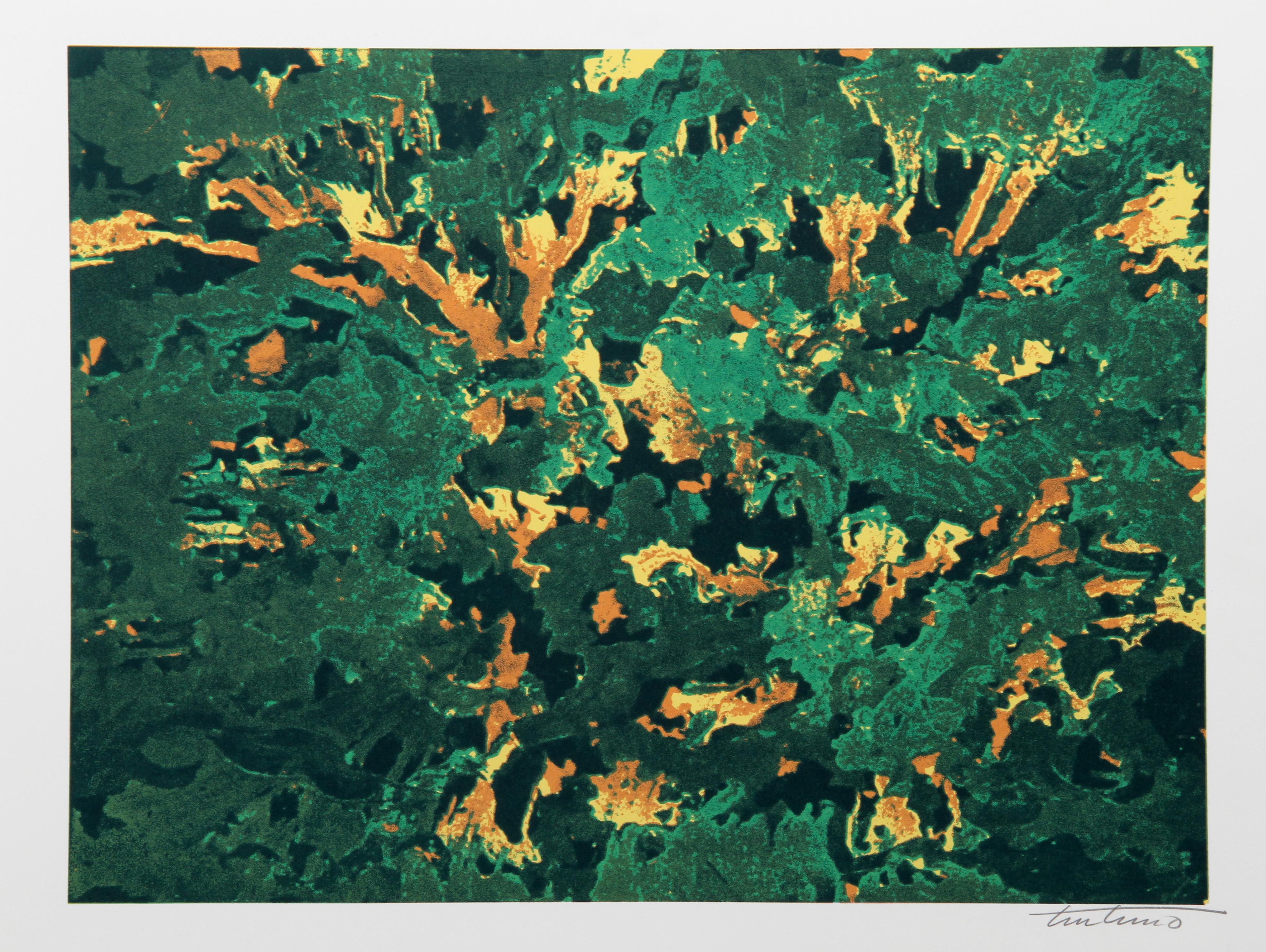 Windweiße Blätter, abstrakter Siebdruck von Domenick Turturro