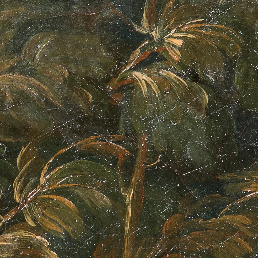 18th-17th Century by Domenico Guidobono Living nature with pigeon Oil on canvas im Angebot 7