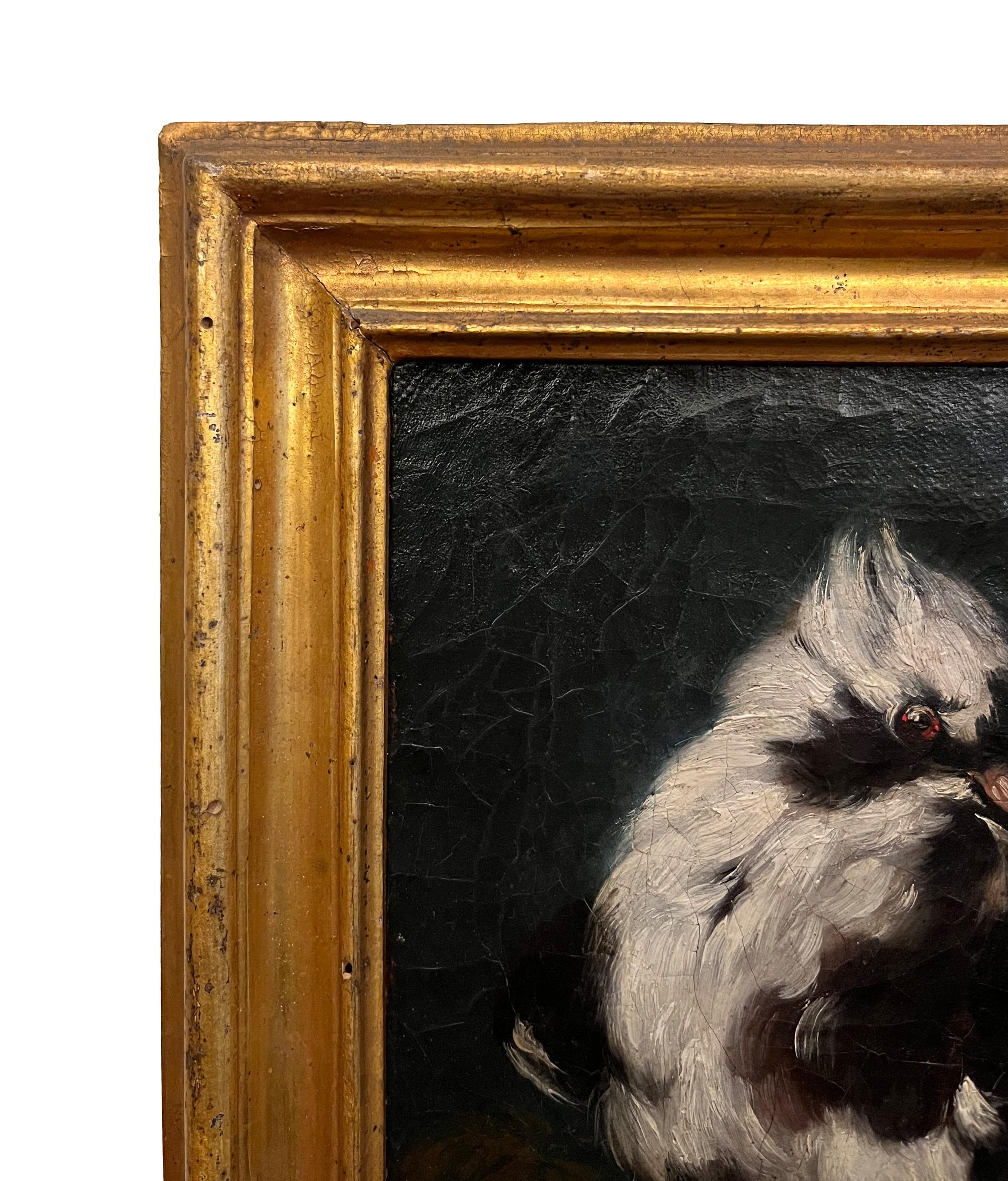 18th-17th Century by Domenico Guidobono Living nature with pigeon Oil on canvas im Angebot 8