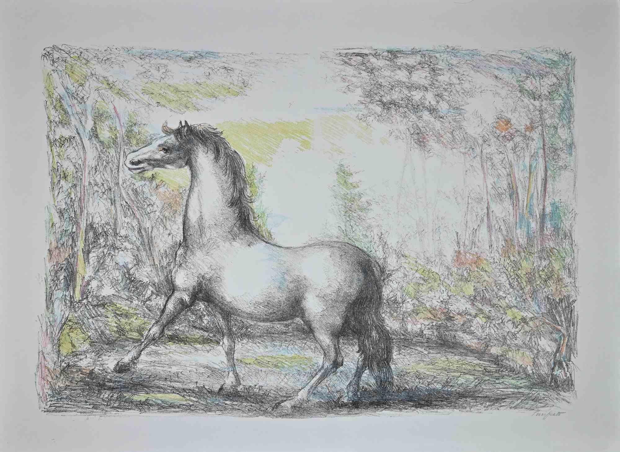 Pferd – Lithographie von Domenico Purificato – 1970er Jahre