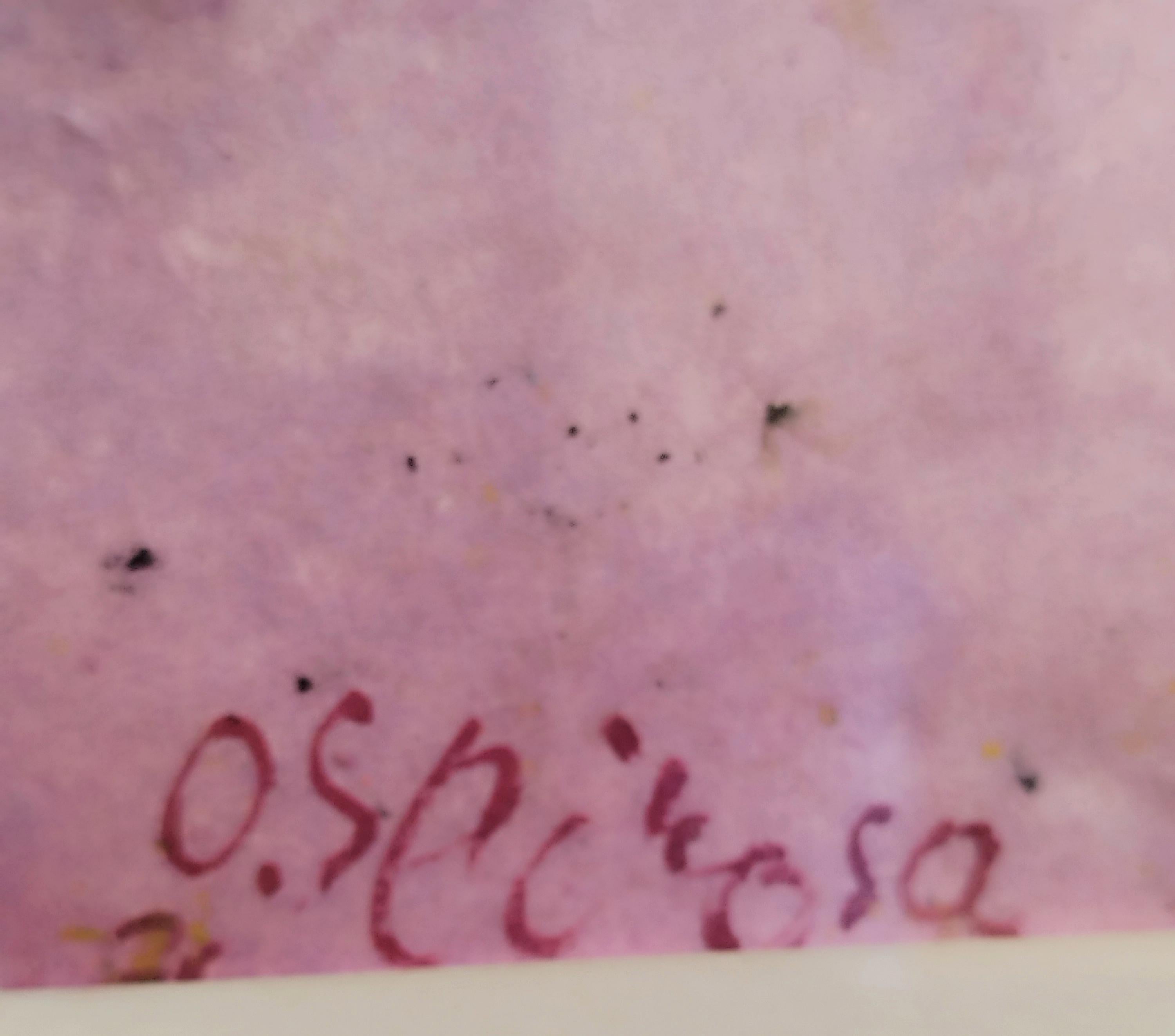 Senza Titolo - Tecnica Mista su Carta Domenico Spinosa, Italia 1970 in vendita 4