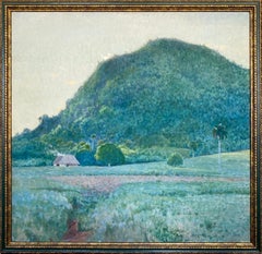 Kubanische Landschaft