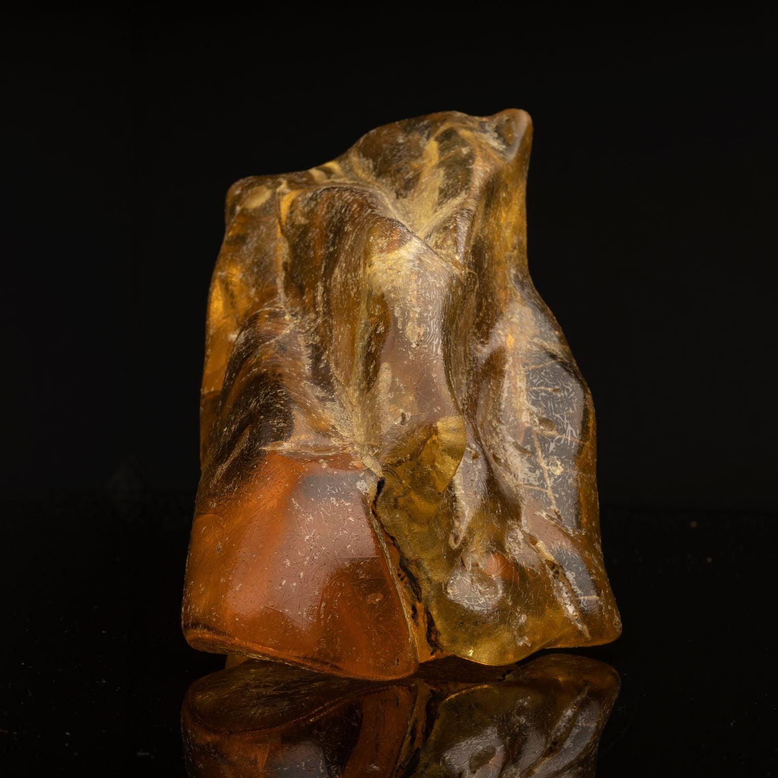 This large, translucent piece of amber is from the Dominican Republic and is an estimated 16 to 25 million years old. Amber is fossilized tree resin and is considered a mineraloid. This specimen contains a plethora of preserved plant