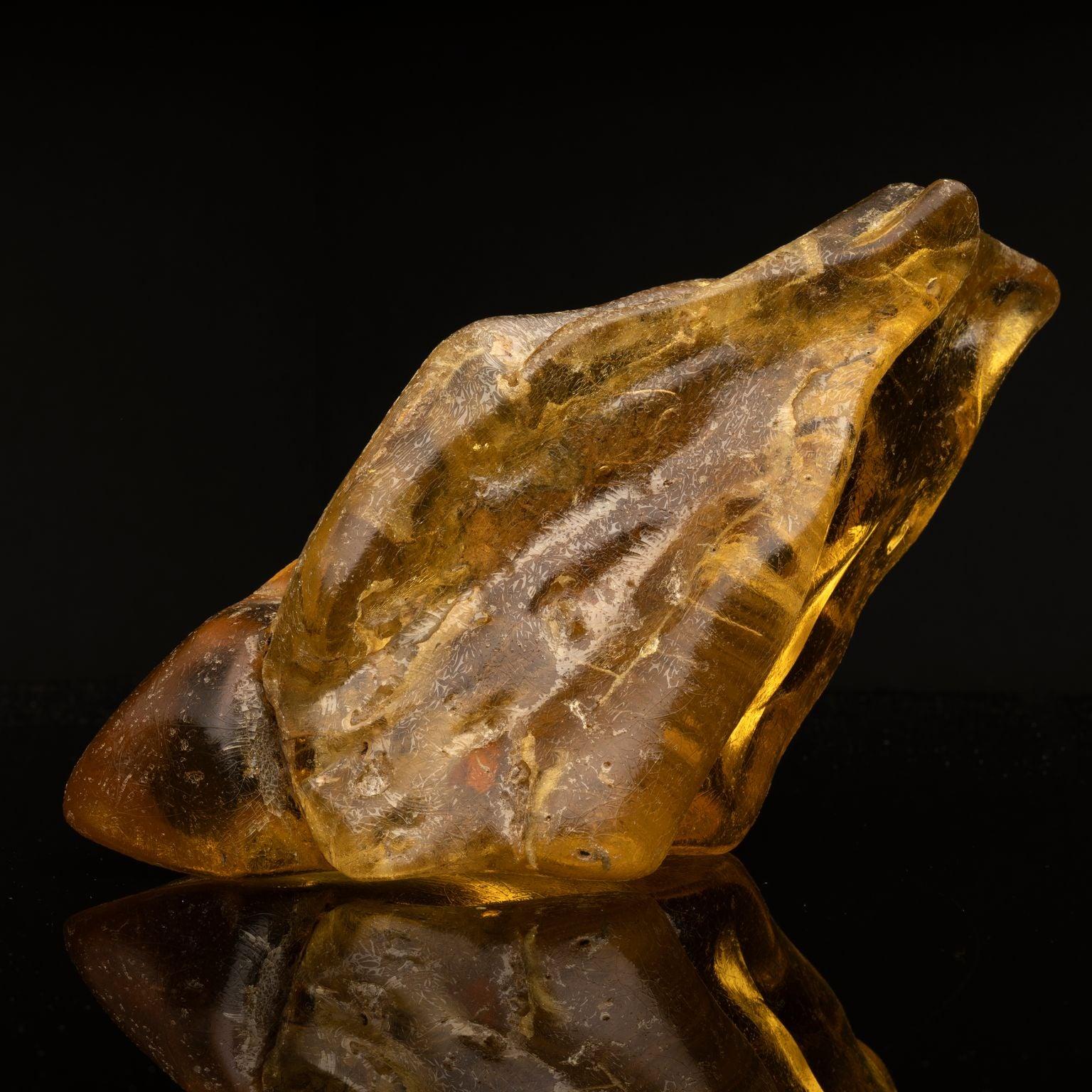 18th Century and Earlier Dominican Amber // 15-25 MYO For Sale