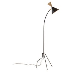 Dominici Floor Lamp, Mid-century Modern Brazilian Design by Enrico Furio, 1950s