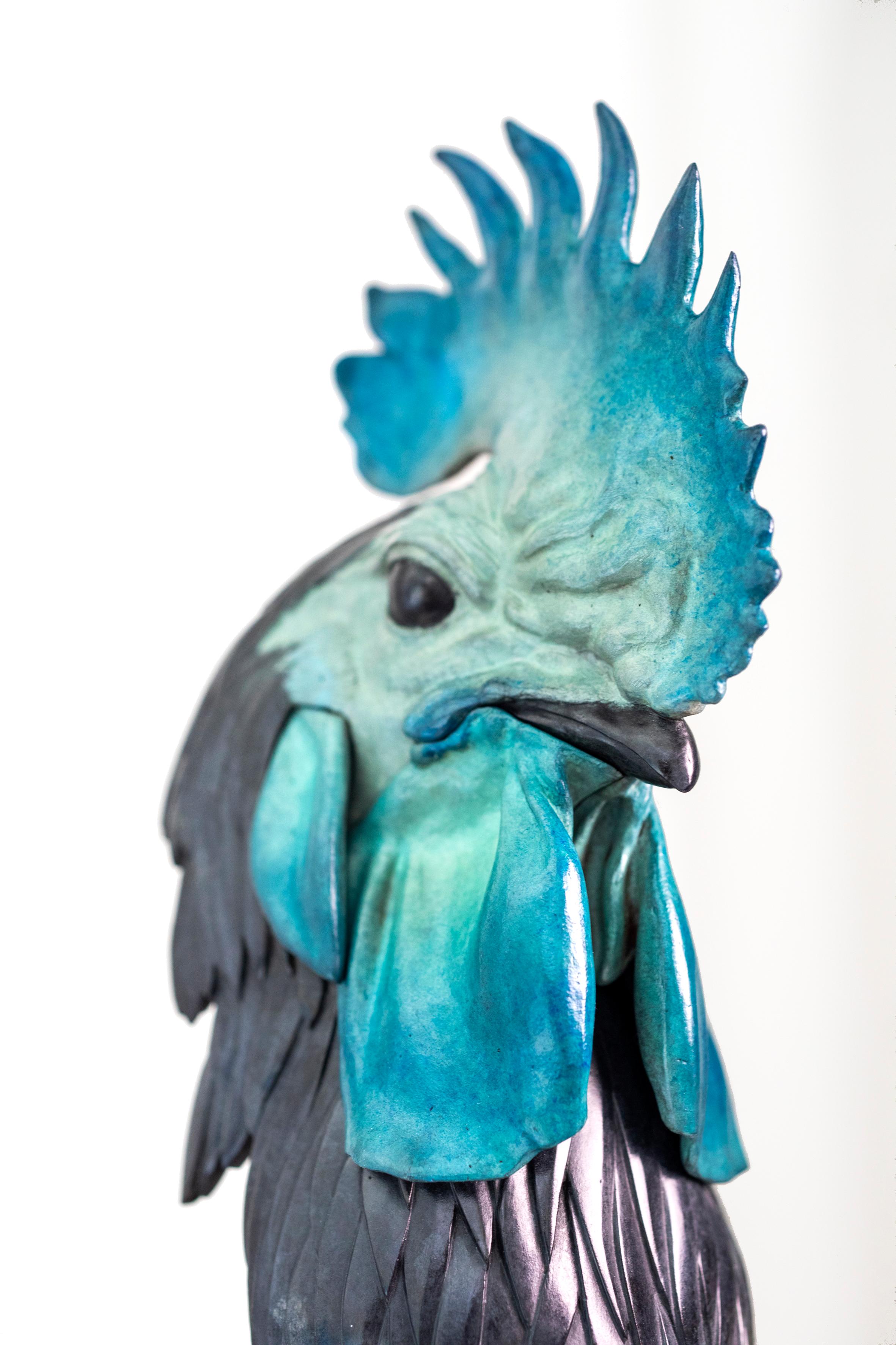 Coq For Sale 8