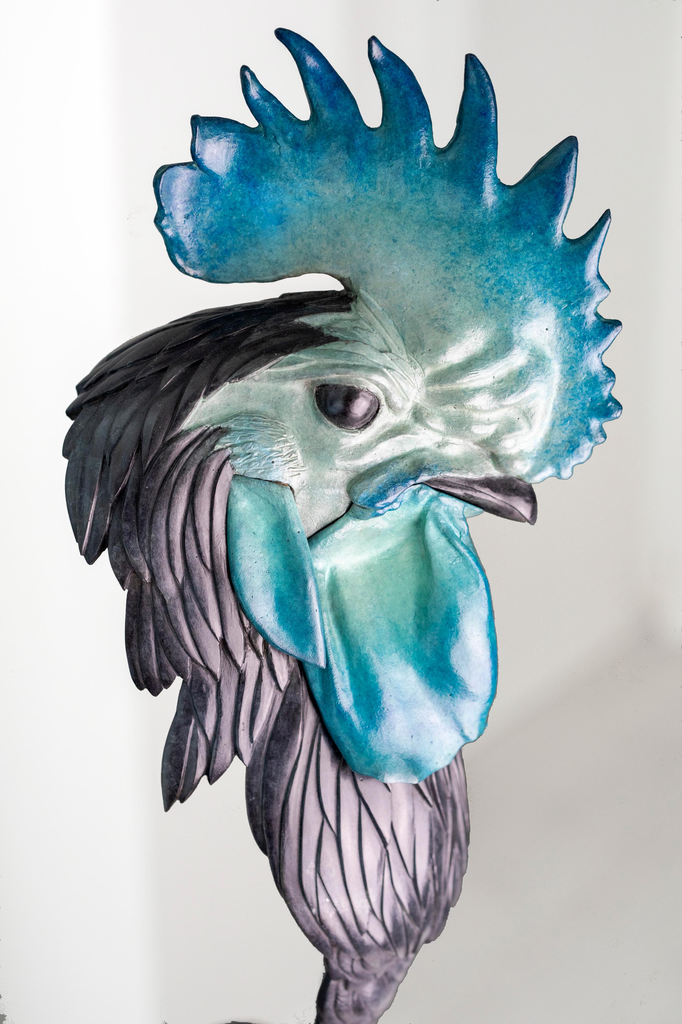 Coq For Sale 9