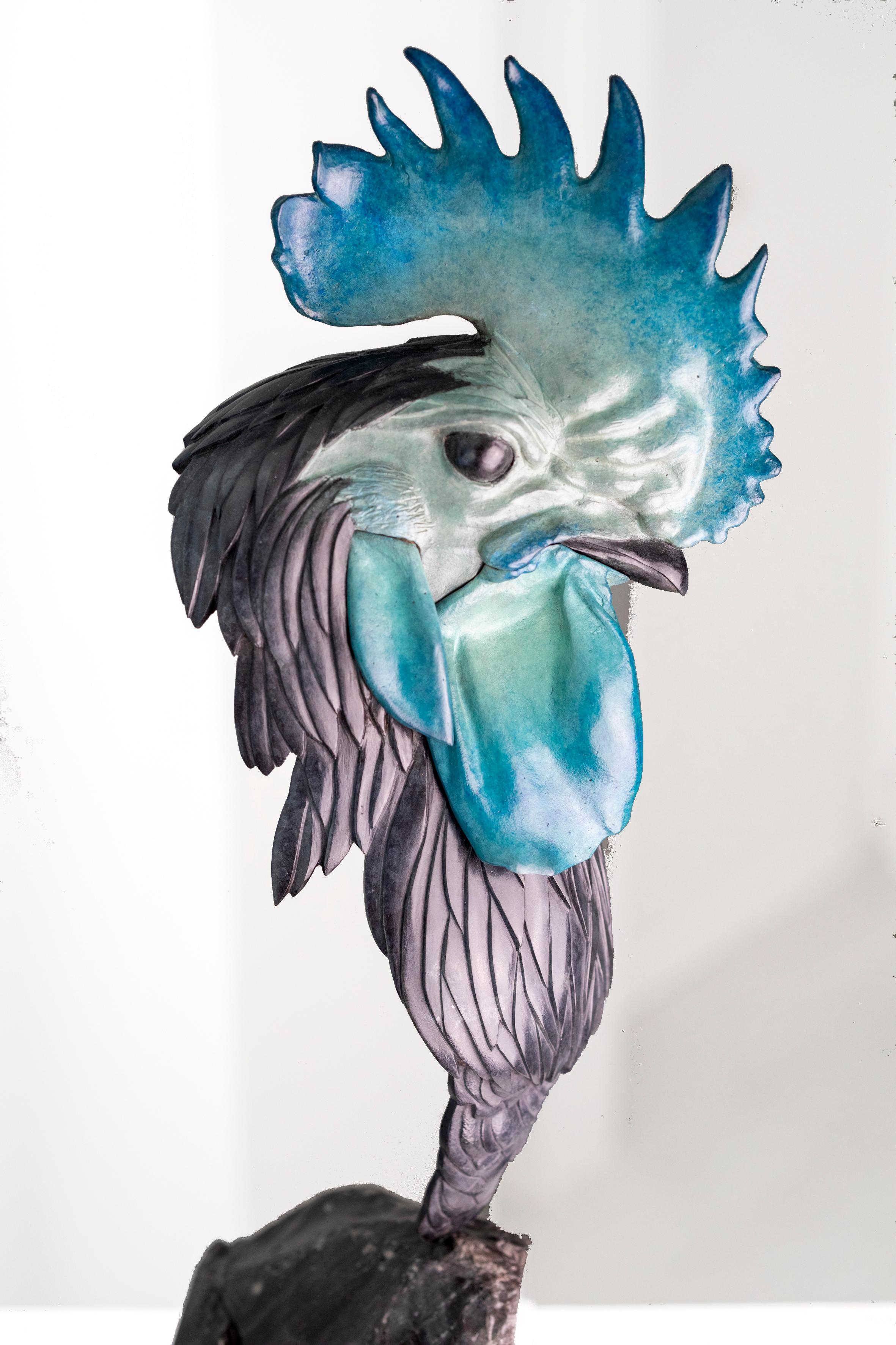 Coq For Sale 10