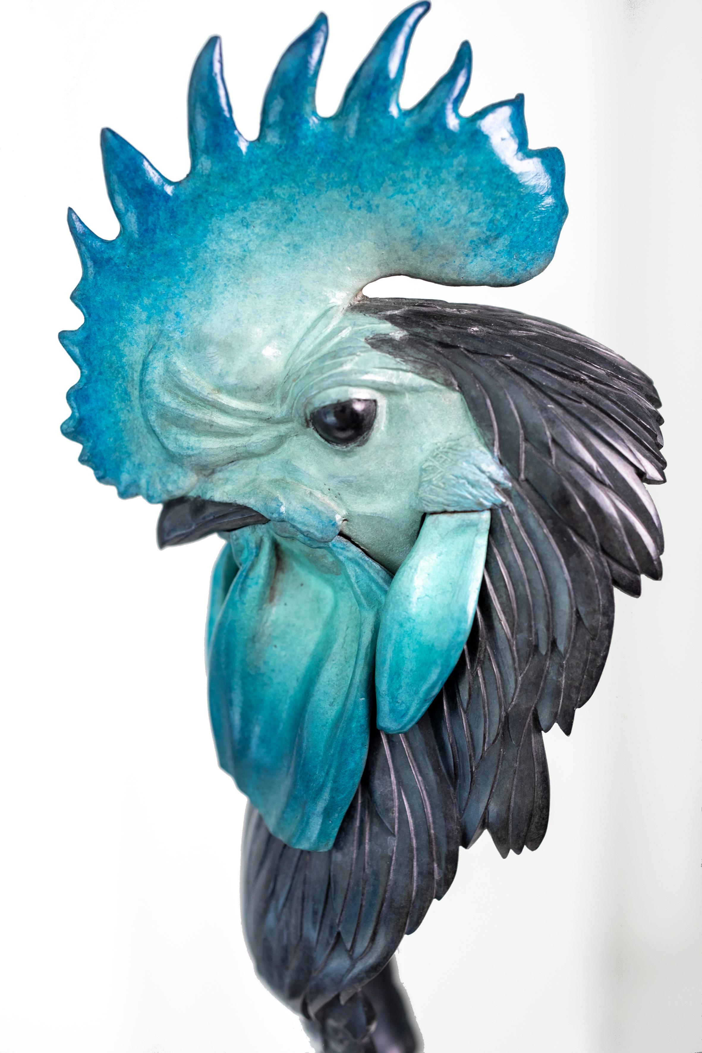 Coq For Sale 11