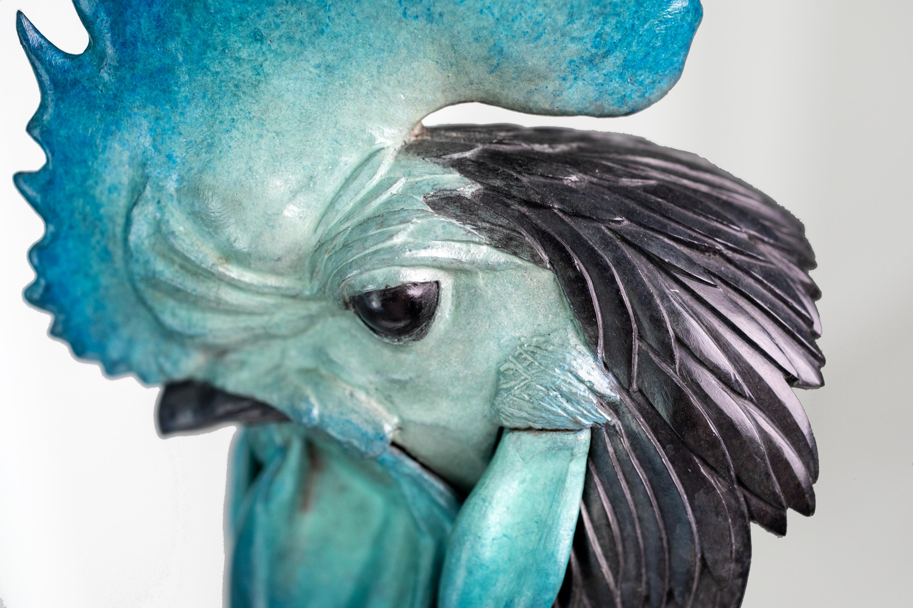 Coq For Sale 12