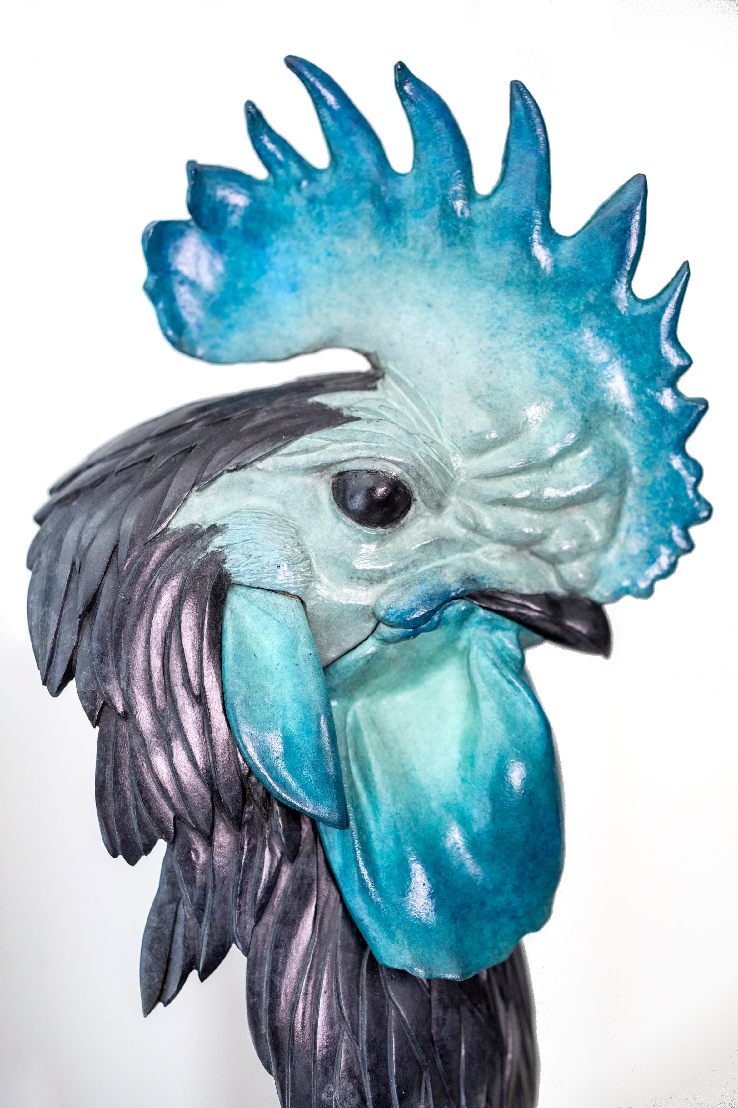 Coq For Sale 5