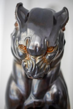Feu