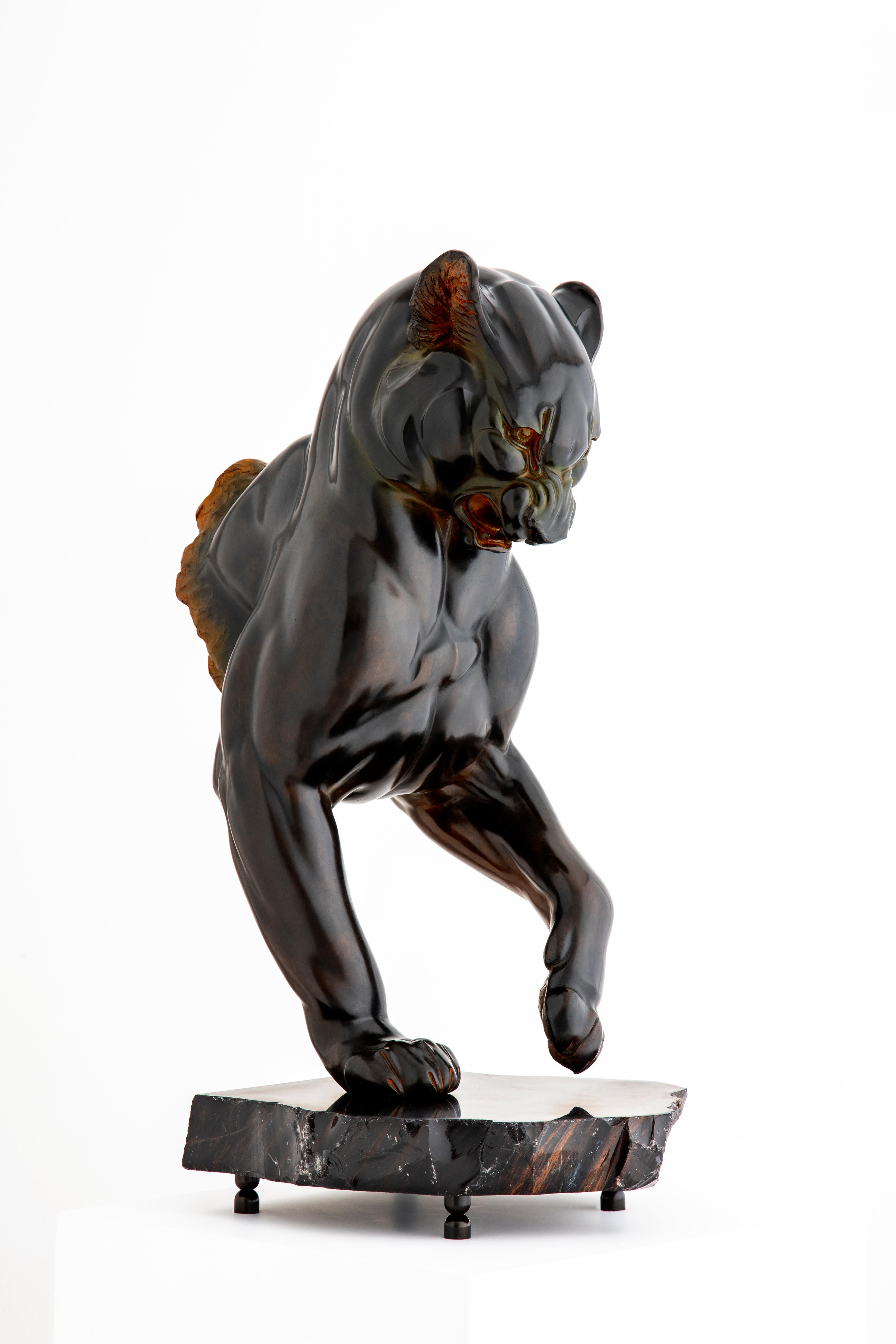 Bronze and mahogany obsidian
Edition number : 1/8 ; Draws 8 + 4
Certificate : seal and signature by Dominique Mufraggi on the work and on the original certificate 

Dominique Mufraggi's passion for the plasticity of the living world, his quest for