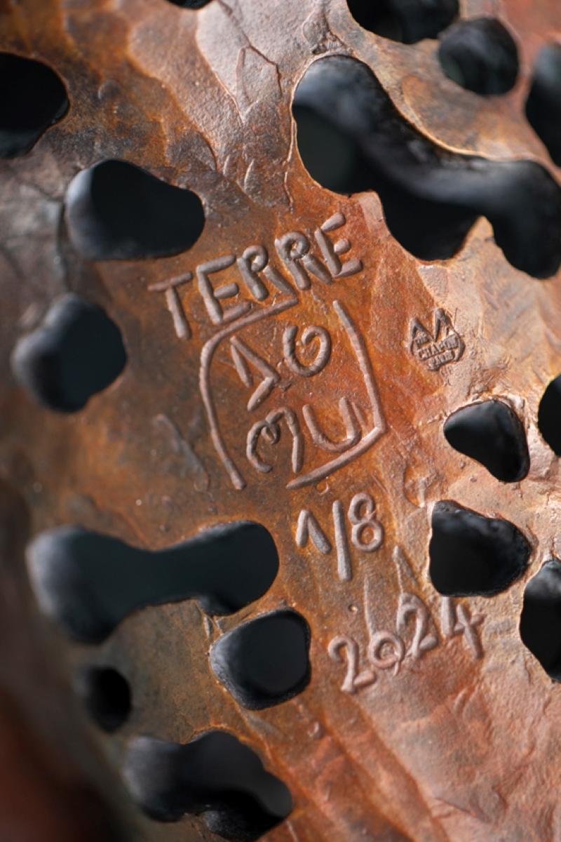 Terre en vente 8